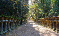 明けましておめでとうございます